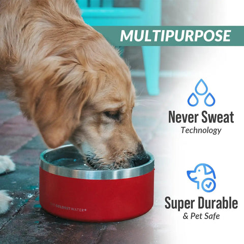 Triple Wall Insulated Stainless Steel Dog Bowl Keeping Fridge Cold Hydration All Day Long Tough As Nails Spill Proof Pet Feeder With Non Slip Base Easy Care Dishwasher Safe 42 Oz Stealth Black For Dogs And Cats with dog drinking from it.