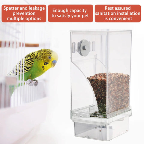 Hassle Free Automatic Bird Feeder With No Mess Clear Acrylic Bowl And Smooth Cage Mount For Parrots Canaries Cockatoos No Sweat Setup Foraging Snack Station 2 Pack, showing feeder with seeds and a budgie.