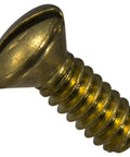 Premium Heavy Duty Brass Machine Screws Featuring Full Machine Threads And Classic Slotted Oval Heads Designed For Decorative Switch Plates And Electrical Work Hella Sturdy Zero Fluff Durability One Hundred Piece Assortment close-up of slotted head screw