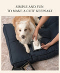 Using Paw Print Keepsake Kit For Dogs And Cats, Easy No Knead Aluminum Mold With Black Leather Display Box on a dog's paw