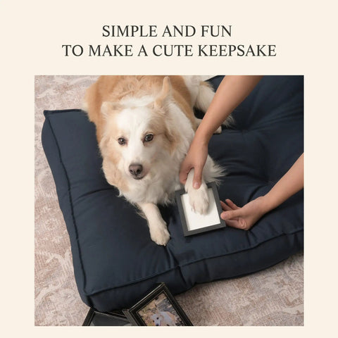 Using Paw Print Keepsake Kit For Dogs And Cats, Easy No Knead Aluminum Mold With Black Leather Display Box on a dog's paw