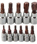 Top Tier 11 Piece Torx Bit Socket Set With T10 To T60 Chrome Vanadium Steel Driver Bits For Tough Automotive Repairs And Heavy Mechanical Maintenance Work Using Both Inch Drive Sizes. Chrome vanadium Torx bit socket set with 11 chrome sockets and brown driver bits