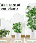 Stages of using Four Pack 30 Inch Plant Trellis Set For Climbing Vines, Rustproof Metal Garden Trellis For Potted Plants.