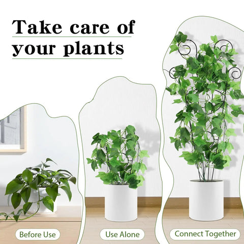 Stages of using Four Pack 30 Inch Plant Trellis Set For Climbing Vines, Rustproof Metal Garden Trellis For Potted Plants.