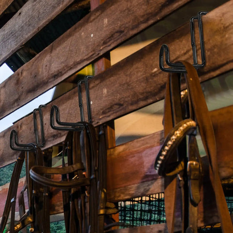 Two Pack 4 Inch Heavy Duty Tack Hooks Over Rail Bridle Rack holding horse bridles on a wooden stall wall, black metal hooks