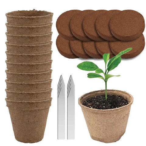 All In One Seedling Starter Kit With Biodegradable Peat Pots Coco Coir Soil Discs And Plant Markers For Easy Seed Germination Indoors Or Outdoors 10 Pack No Transplant Shock Organic Grow Kit showing pots, discs, and a sprouted plant.