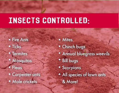 Powerful Bifenthrin Insecticide For Indoor And Outdoor Use 16 Ounce Quick On Contact Killer list of controlled insects on cracked soil