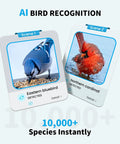 AI bird recognition showing Eastern bluebird and Northern cardinal for Outdoor Bird Feeder Camera Bird Bath Dual Lens 2K HD.