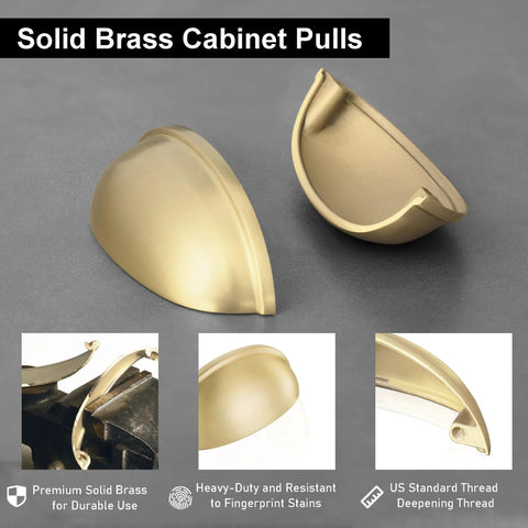 2-Pack Solid Brass Cup Cabinet Pulls in Brushed Brass Finish