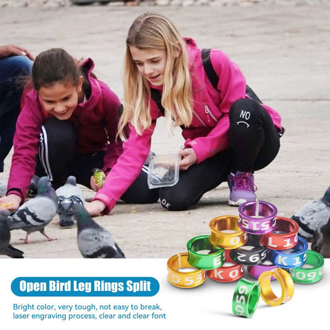 Children feeding pigeons with Split Aluminum Bird Leg Rings For Pigeons Parrots Doves And More, Open 1mm Foot Rings displayed.