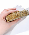 Hand holding Fossiliferous Limestone Hand Sample Approximately Three Inch Sedimentary Rock With Visible Fossils For Geology Nerds