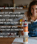 Bang For Your Buck Plug And Play Closed Cell Spray Foam Insulation Kit In A Can held by woman in workshop, showcases easy application features.