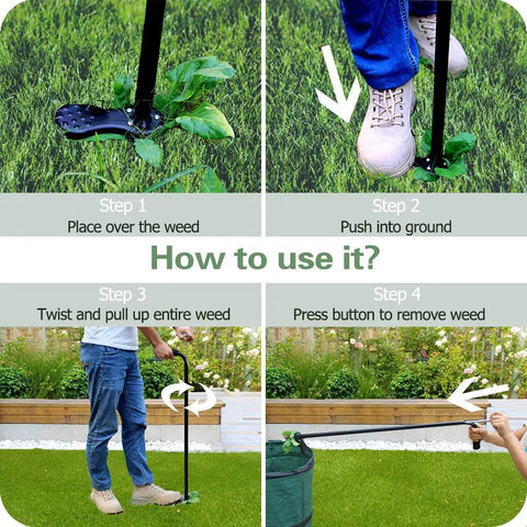 Steps of using Back-Saving Stand Up Weeder With 37 Inch Handle For Root Removal No Bend Ergonomic Weed Puller shown in garden.