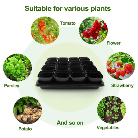 80 Count Two Point Five Inch Square Seedling Pots With Five Seed Starting Trays Kit For No Fuss Germination Drain Hole Nursery Pots displayed with plant icons