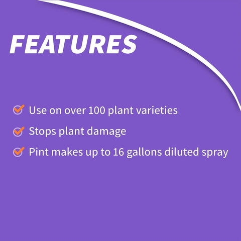 Systemic Insect Control Concentrate for Outdoor Lawn and Garden features on purple background