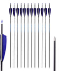 Beast Carbon Arrows For Target Practice And Hunting 29 Inch Overall Length With 26 Inch Shaft 350 Spine Rotatable Nock, 12 pack