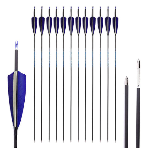 Beast Carbon Arrows For Target Practice And Hunting 29 Inch Overall Length With 26 Inch Shaft 350 Spine Rotatable Nock, 12 pack