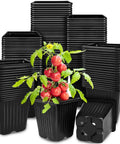 100 Pack Square Plant Nursery Pots With Drainage Holes Three And A Half Inch Plastic Seed Starter Pots stacked with a small plant