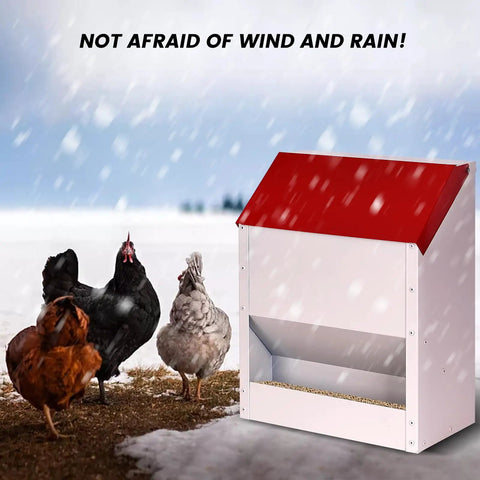Heavy Duty Galvanized Wall Mount Chicken Feeder Designed To Kickstart Your Flock with red lid, outdoor use in snowy conditions.
