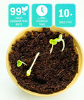 Sprouting seeds in soil from Kids Plant Growing Kit With Indoor Greenhouse And Hydroponic System, Thermometer, Wind Vane And Tools