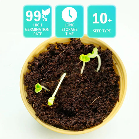 Sprouting seeds in soil from Kids Plant Growing Kit With Indoor Greenhouse And Hydroponic System, Thermometer, Wind Vane And Tools