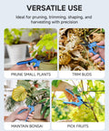 Image showing 6.5 Inch Garden Trimming Scissors With Nonstick Sharp Blade used for pruning, bonsai, bud trimming, and fruit picking.