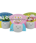 Peaceful Face Planter Grow Kit 3 Pack With Aloe Moss Rose And Chamomile Seeds Growing Medium Included Cute Indoor Desk Planters