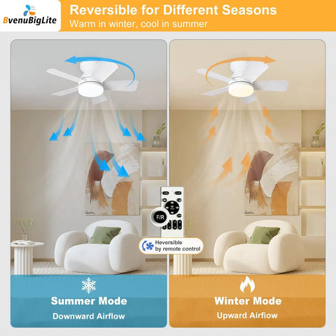 Keep It Chill With This 25 Inch Small Ceiling Fan Packing A Bright LED Light And Hassle Free Remote in Summer and Winter Modes.