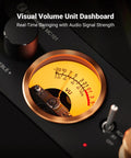 MC101 Bluetooth Stereo Amplifier With VU Meter And Bass Treble Tone Control Dope Vintage Aluminum Mini HiFi Receiver For Passive Speakers 2 Channel Home Audio Amplifier With Retro Style Power Amp, close-up VU meter