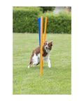 Dog weaving through poles in All Breeds Dog Agility Slalom Course With 12 Weave Poles Easy Assembly Outdoor Training Gear