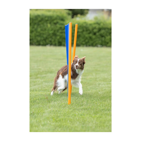 Dog weaving through poles in All Breeds Dog Agility Slalom Course With 12 Weave Poles Easy Assembly Outdoor Training Gear