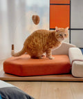 Modern Wooden Pet Hangout Haven With Swinging Toy, Built Like A Tank Oak Veneer Sofa Bed, Ultra Comfy High Resilience Foam Cushion, Scratch Proof Elevated Pad For Big Cats And Dogs with cat sitting on orange cushion.