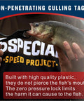 Non Puncture Bass Fishing Cull Tags Set With Six Color Coded Tags And Buoy Keeper in use with a bass fish, easy clip design