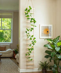 Extra Tall Six Foot Wooden Ladder Plant Trellis For Indoor And Outdoor Garden Support with climbing vine in living room
