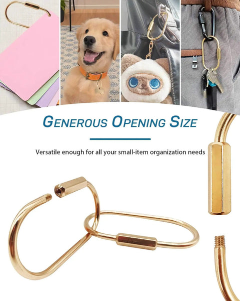 Brass Gold Carabiner Clip With Screw Lock For Keys And Everyday Carry Gear Anti Loss Keychain Clip For Backpacks Luggage Tags Pet Collars And More 6 Pack, showcased with a dog's collar and bags.