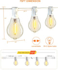 Outdoor String Lights With Remote For Patio And Backyard 30 Feet Waterproof Connectable LED Globe Bulbs 28 G40 Dimmable diagram