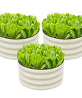 Three Piece Round Galvanized Raised Garden Bed Kit Each 2x2x1 Ft Outdoor Metal Planter Box For Vegetables And Flowers Rust Resistant White Finish Weatherproof Construction