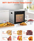 Straight Up Top Shelf Electric Food Dehydrator With 10 Stainless Steel Trays and Adjustable Heat Plus 24 Hour Timer displayed with dried fruits.