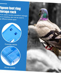 Must Have Ring Holder Organizer Rack For Racing Pigeons And Poultry Ring Storage Foot Ring Rack with pigeons and rack details