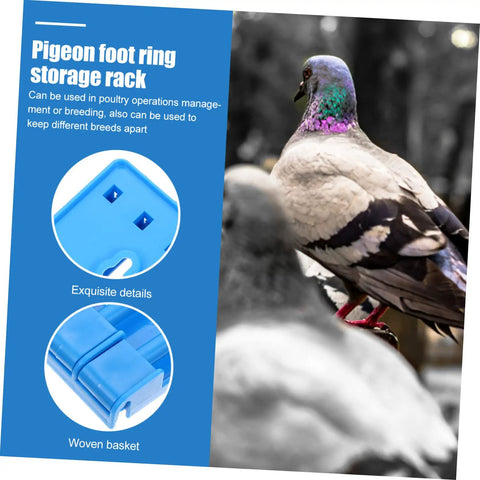Must Have Ring Holder Organizer Rack For Racing Pigeons And Poultry Ring Storage Foot Ring Rack with pigeons and rack details
