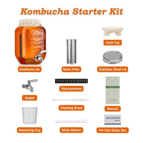 1 Gallon Kombucha Starter Kit With Glass Jar, Spigot And Stainless Mesh Filter, Easy Home Brew Fermentation Kit For Bottling