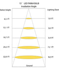 Diagram showing 15° beam angles for LED PAR64 Bulb Replaces 500W Halogen With 40W Output, 120V GX16D Retrofit Lighting.
