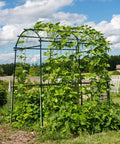 63 Inch Long 80 Inch Tall Garden Arch Arbor For Climbing Vines Heavy Duty Metal Trellis With Nylon Netting in outdoor setting