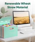 Slick 13 Pocket Accordion Expanding File Folder Crafted From Eco Friendly Wheat Straw Bpa Free Document Organizer on desk.