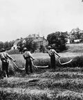 Old Time Farm Scene Poster Print With American Farmers Cutting Grain With Scythes From The 1920s Era, showing farmers in a field.