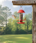Red bird feeder hanging on wooden beam with birds, using heavy duty 30 pcs black eye screw hooks ceiling hooks for hanging plants.