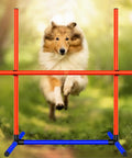 Ultimate Dog Agility Training Set With Tunnel And Obstacles, dog jumping over adjustable jump bars, outdoor use