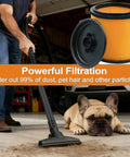 Man using vacuum near dog with 2 Pack Replacement Cartridge Vacuum Filter For 5 To 20 Gallon Wet Dry Vacs VBV1210 displayed