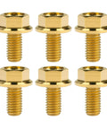 Beefy Titanium Hex Flange Bolts M6 And M8 Set Of Six In Gold Color External Hex Head Screws With Lengths From 10 To 55Mm M6 10 15 20 25 30 35 M8 15 20 25 30 35 40 45 50 55 Grade 5 6Al 4V Titanium Alloy Beefy Fasteners For Bikes And Gear