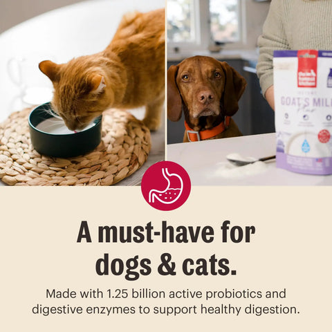 Human Grade Instant Goat Milk Powder Loaded With Probiotics To Settle Doggos And Kittens Tummies While Kickstarting Gut Health Perfect For Mixing Into Any Scoop As A Snappy Daily Nutrition Boost For Happy Fur Families 5.2 Ounces with a cat drinking and a dog looking at goat milk supplement.